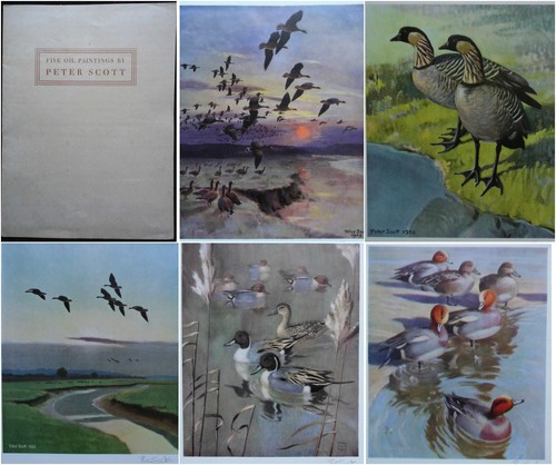 Peter scott five - scott;, oil