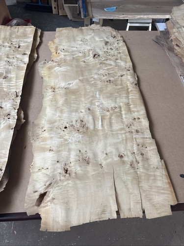 Poplar mapa burl burr - poplar/mapa, veneer