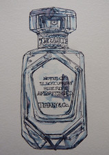 Pen & Ink Drawing of a Bottle