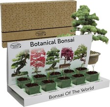 Bonsai Tree Kit | Grow Your