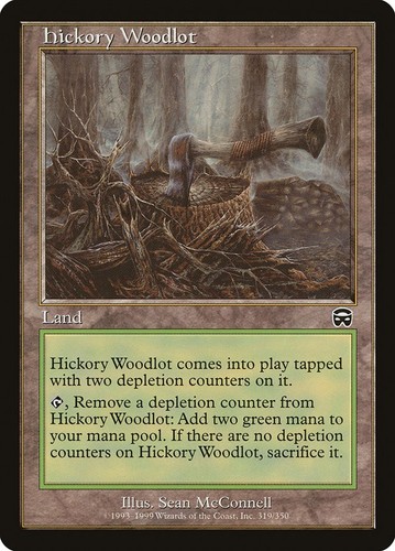 Mtg hickory woodlot - hickory,