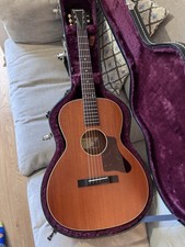 Waterloo WL-12 MH Mahogany 12
