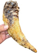 1 X Extra Large and Heavy