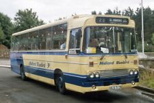 Bus Photo - Midland Bluebird