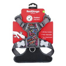 Red Dingo Padded Dog Harness |