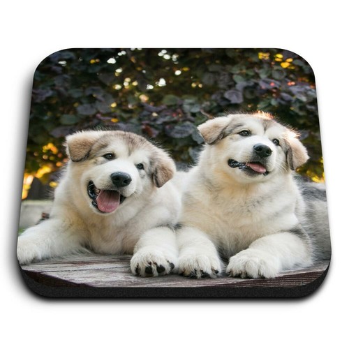 Square mdf magnets - -, alaskan