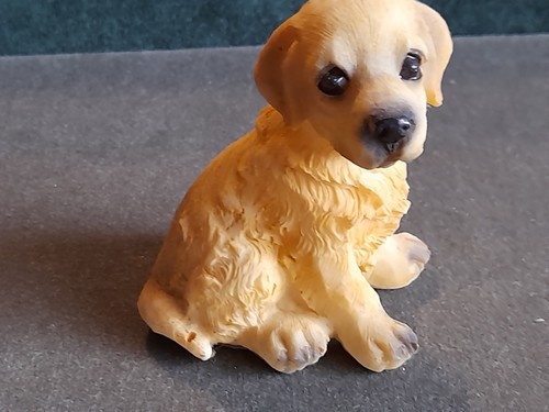 Small labrador puppy resin - in,