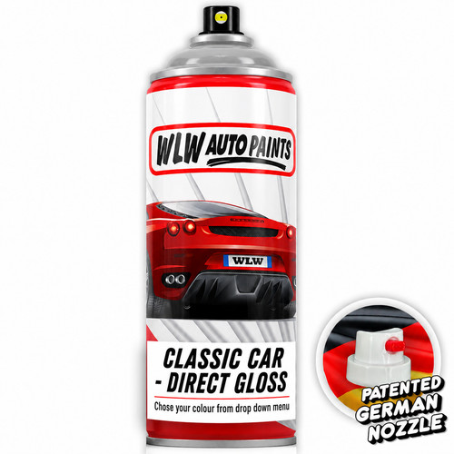 Aerosol spray paint for - aerosol,
