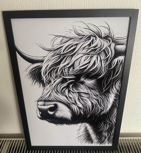 Highland cow picture a3 - picture, in