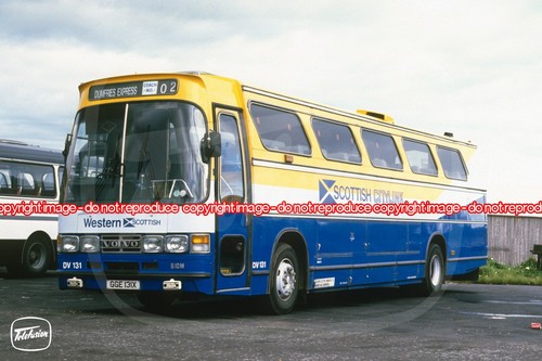 Coach photo western - coach,