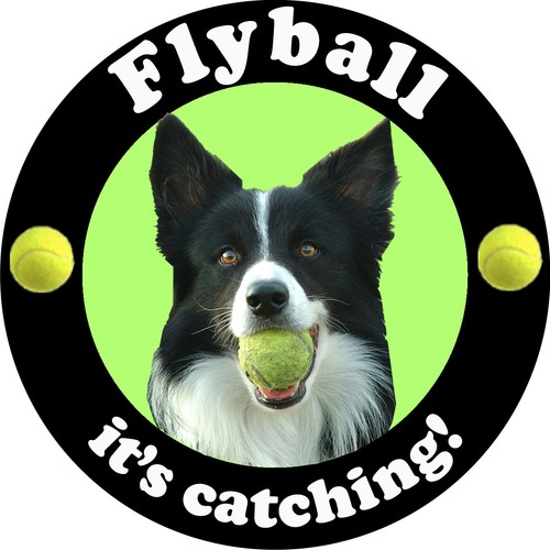 Flyball dog gift x - dog,