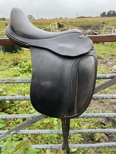 Strada Ic Dressage Black