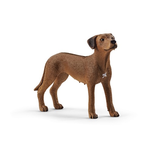 Schleich 13895 rhodesian - schleich,