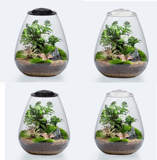 Betta Terrarium Glass Bio Bowl with Dimable Timer LED Light 