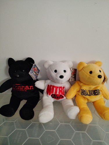 Teddies racing champions - ty,