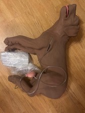 Casper CPR Training Manikin