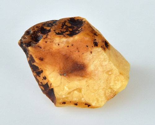Baltic raw amber stone - baltic,