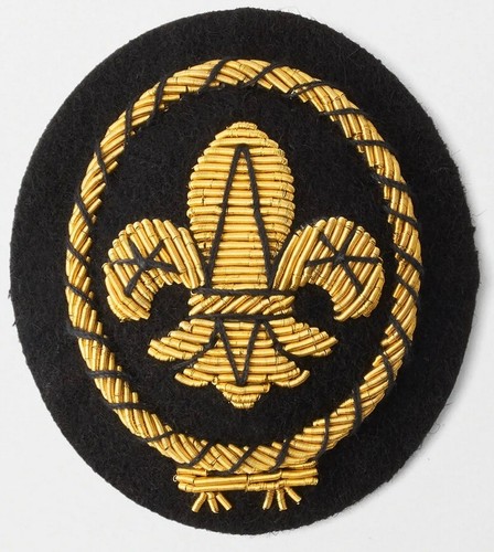 Sea scout cap gold wire - gold, badge
