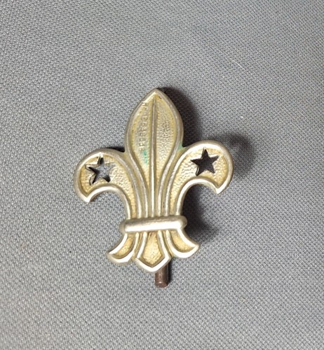 Antique boy scout - boy, badge