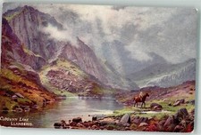 39683182 - Morfa Nefyn Oiltte