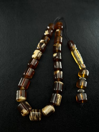 Bold black zebra amber - black,