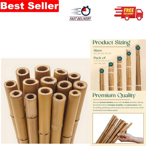 Strong professional bamboo - strong,