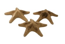 Large 23cm Natural Dried Starfish Sea Ocean Marine Decorative Crafting  x 3