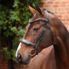 Shires Velociti LUSSO Opus