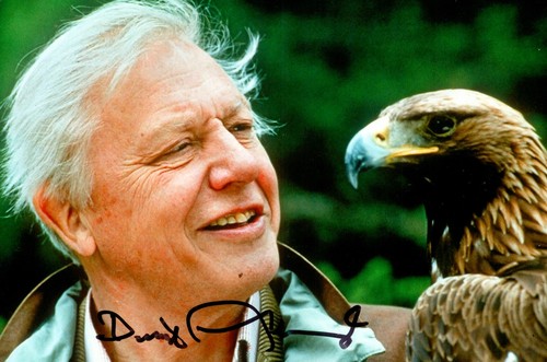 Sir david attenborough - sir,