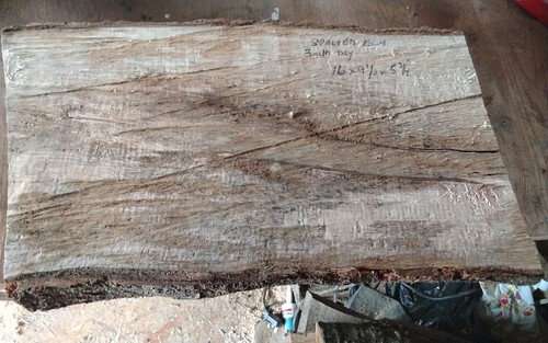 Spalted elm bowl blank wood - elm,