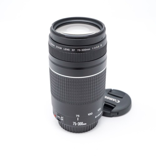 Canon 300mm 5 6 iii - f/4-5.6,