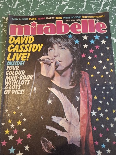 David cassidy vintage - david,