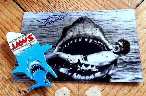 Jaws great white - jaws,