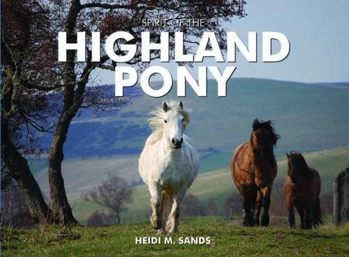Spirit the highland pony - the,