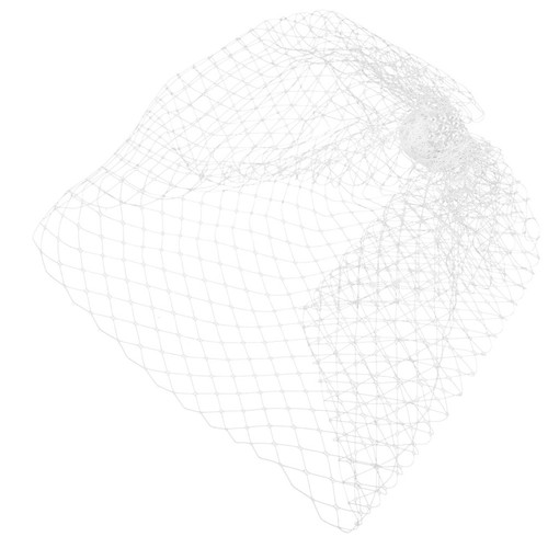Birdcage veil wedding bride - veil,