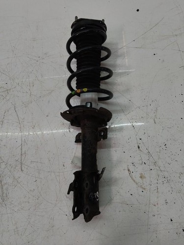 Suspension strut for ford - for,