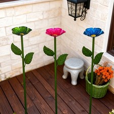 Bird Feeder with Colourful