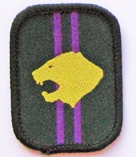 Scout patrol badge - scout,