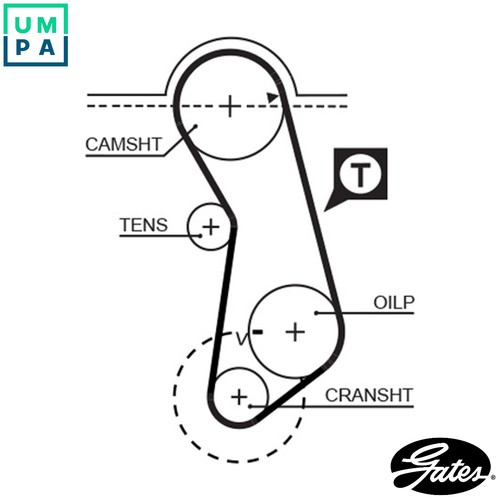 Timing belt 5016 - belt,