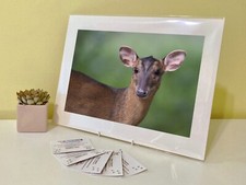 Art Print Image Picture Photo