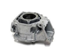 Go Kart Rotax Max Mini / Junior Cylinder Code ZZ