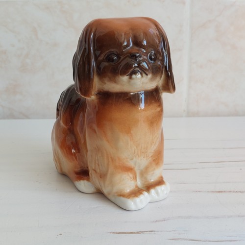 Lomonosov lfz pekingese dog - lomonosov,