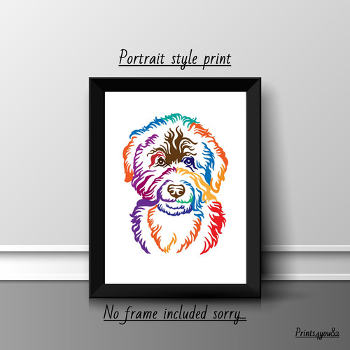Barbet dog pet picture - barbet,