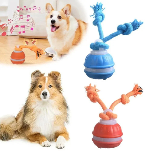 Automatic moving pets dog ball - automatic,