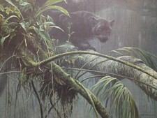Robert Bateman's Shadow of the