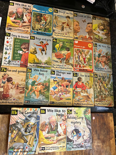 Vintage ladybird key - ladybird, words
