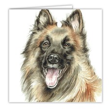 Belgian Shepherd greetings