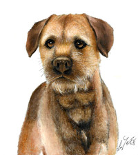 ✤ Original Oil Portrait
