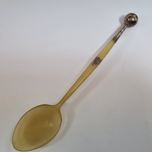 Unusual antique silver - silver, mounted