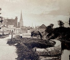 sussex county town chicester